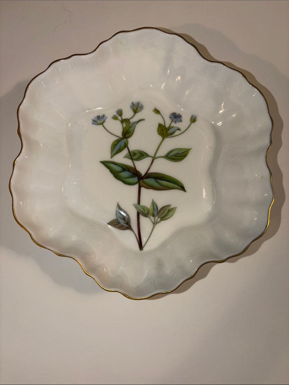 Minton Meadow Scalloped Fine Bone China Bowl Botanical Pattern with gold trim